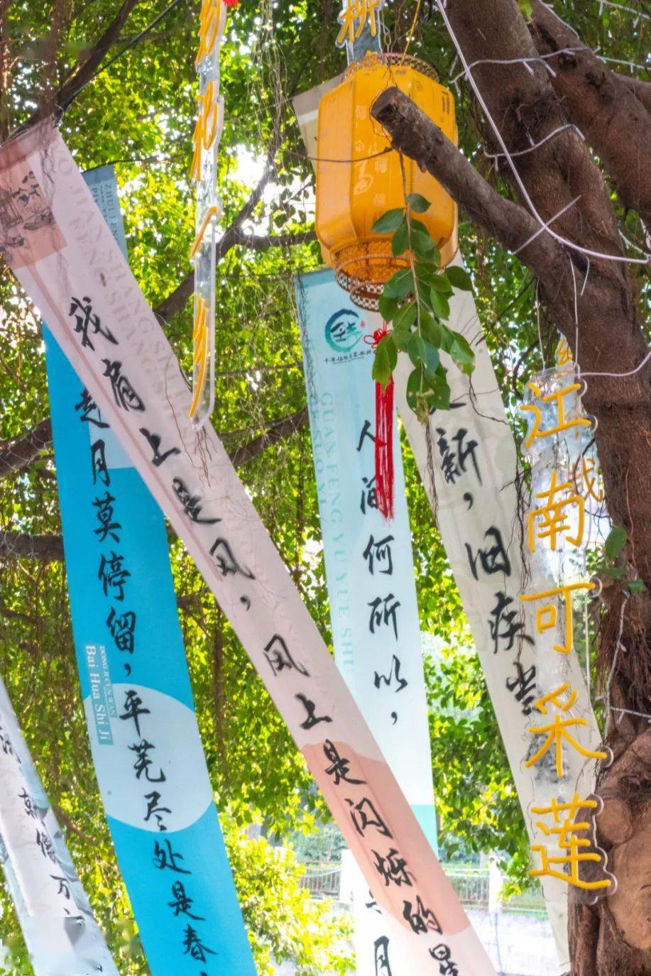 走,溜"摊儿"去……百花街百花河畔,钱库镇百花市集热闹开张_乡村_冬日