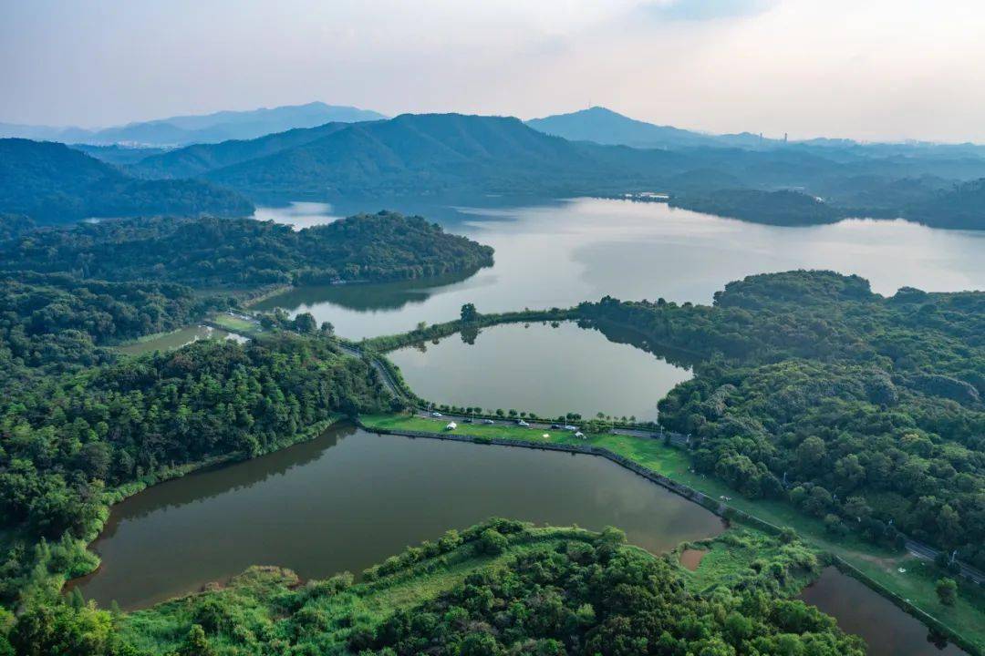 东莞人心目中的"十大生态公园"_湿地_城市_park