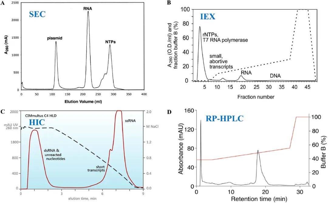 建立mrna純化穩健qbd:純化技術的發展與挑戰_色譜_雜質_分子生物學