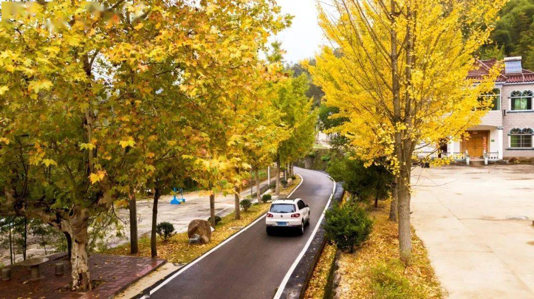 广德杨滩圣封茶叶（圣封茶叶广德杨滩五合村） 广德杨滩圣封茶叶（圣封茶叶广德杨滩五合村）《广德圣封茶价格》 茶叶资讯