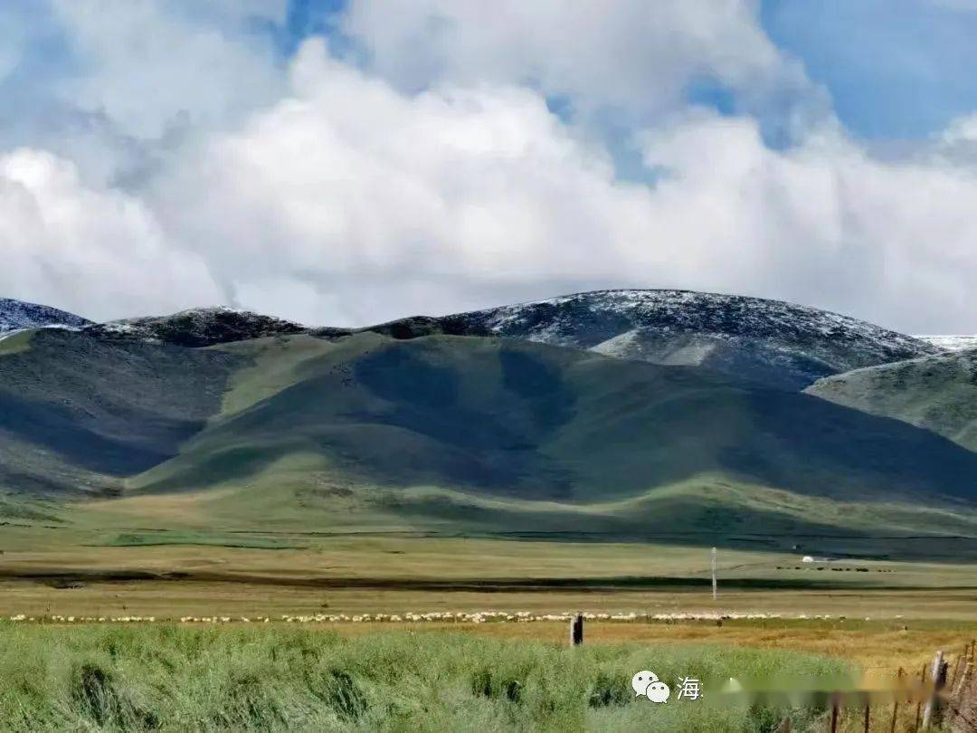【省级乡村旅游重点村推介】海晏县青海湖乡达玉五谷村_海北_草场