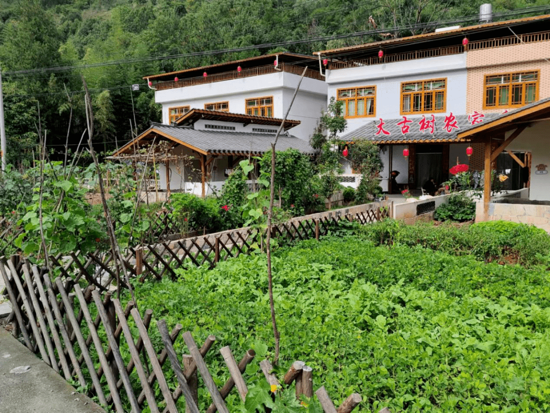 庭院经济激活乡村振兴一池春水