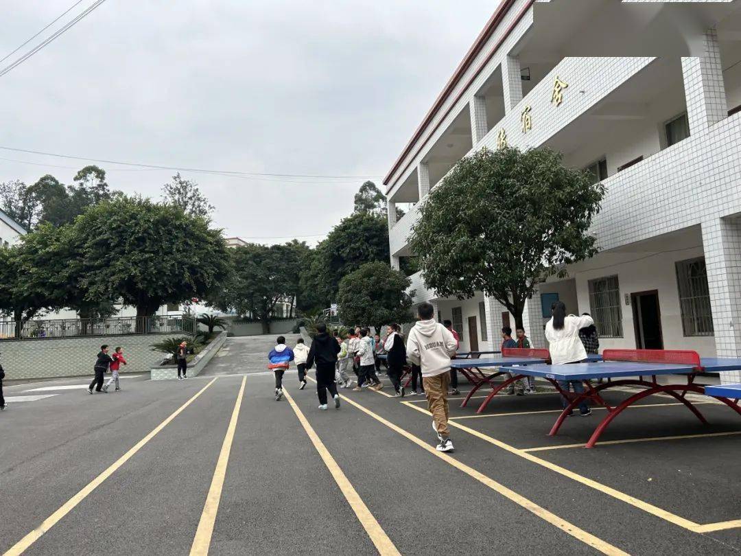 【校园动态】丹棱县仁美镇双桥小学开展防恐防暴演练_教育_师生_演习