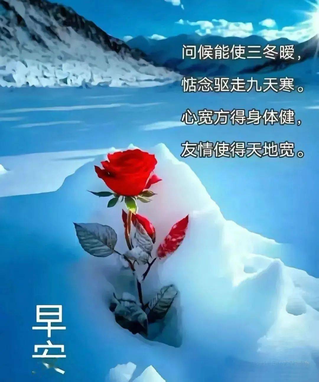 下雪天早安问候图片图片