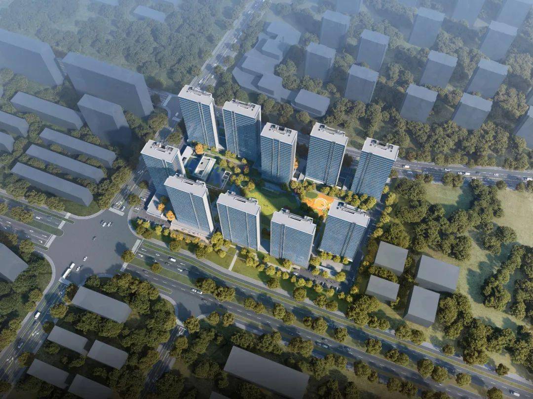 钱塘区沁棠云筑人才共有产权保障住房配售受理公告_购房_开发_家庭