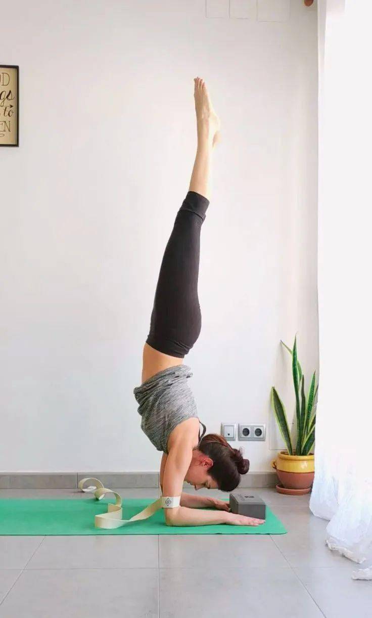 干货丨挑战孔雀起舞式,缺少不了这几个步骤!_体式_瑜伽_背部