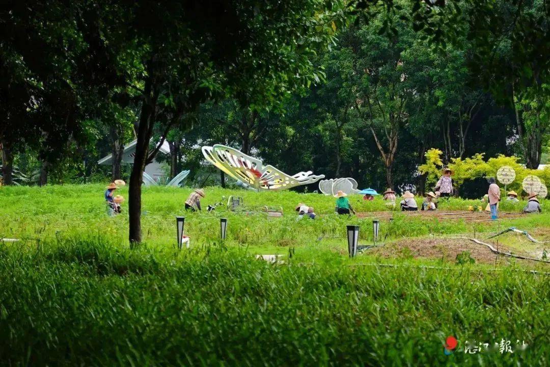 品種達636種之多廣栽熱帶觀花植物和鄉土植物南國熱帶花園以花為主題