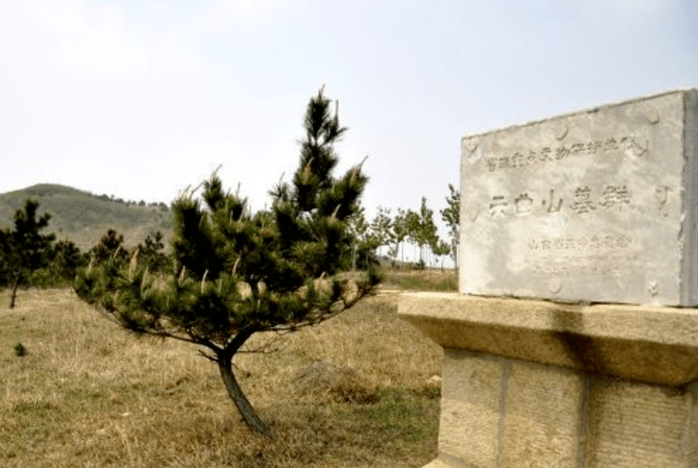 刘某某等16人盗掘平度六曲山墓群,即墨故城遗址等被判刑_王某某_盗墓