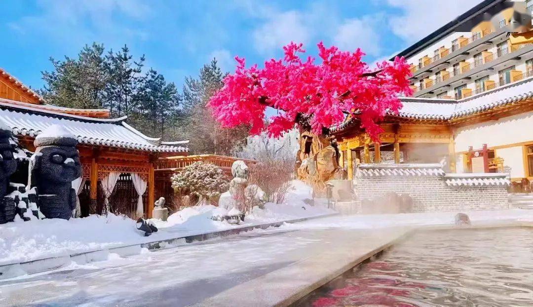 优惠活动琵岩山温泉酒店推出单人门票线上购买138元/人(门市价168元