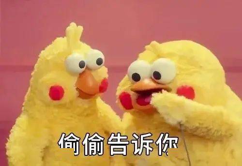 张钧甯_恋情_好友