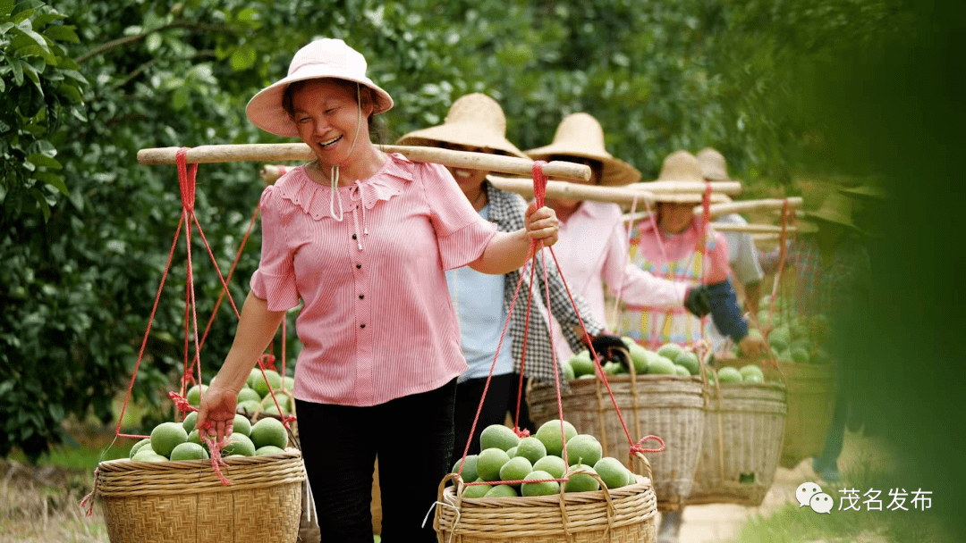 化州,中國長壽之鄉!_文化_廣東省_全市