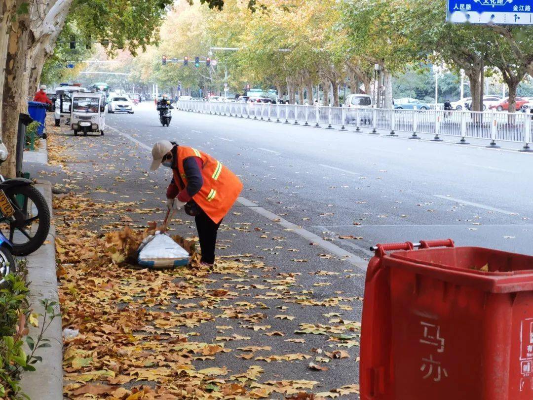 风起落叶多 环卫清扫忙