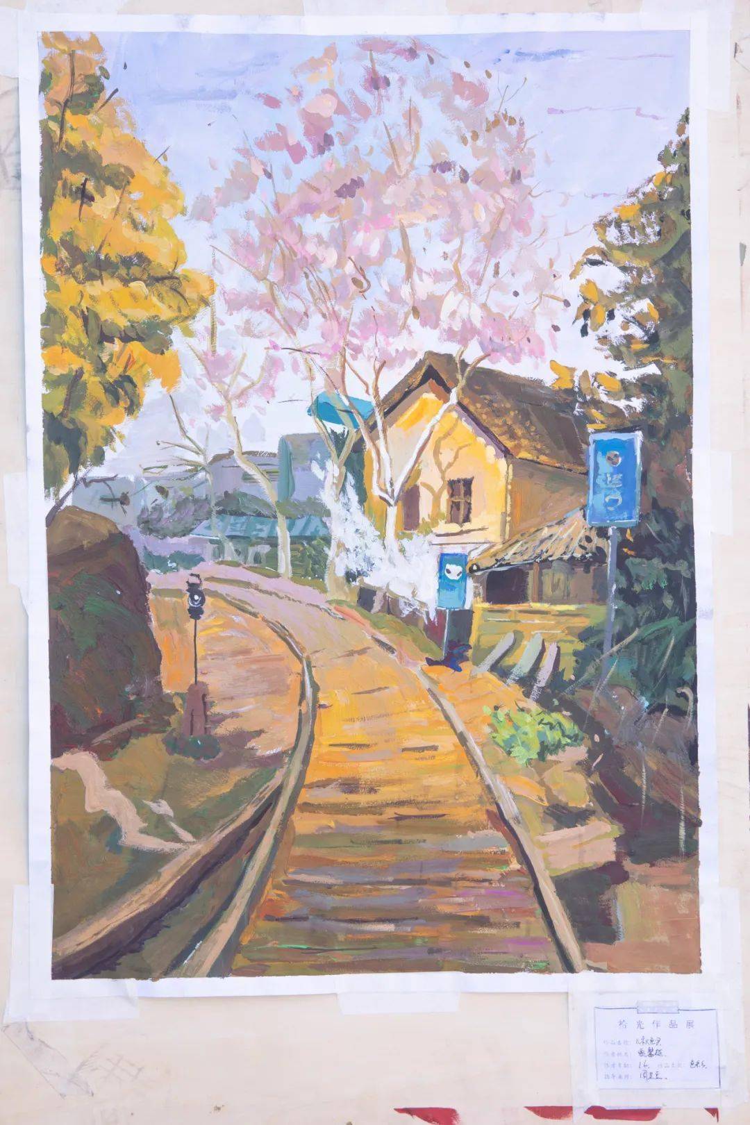 保定泽龙学校拾光艺术展开启谁是你心目中的no1