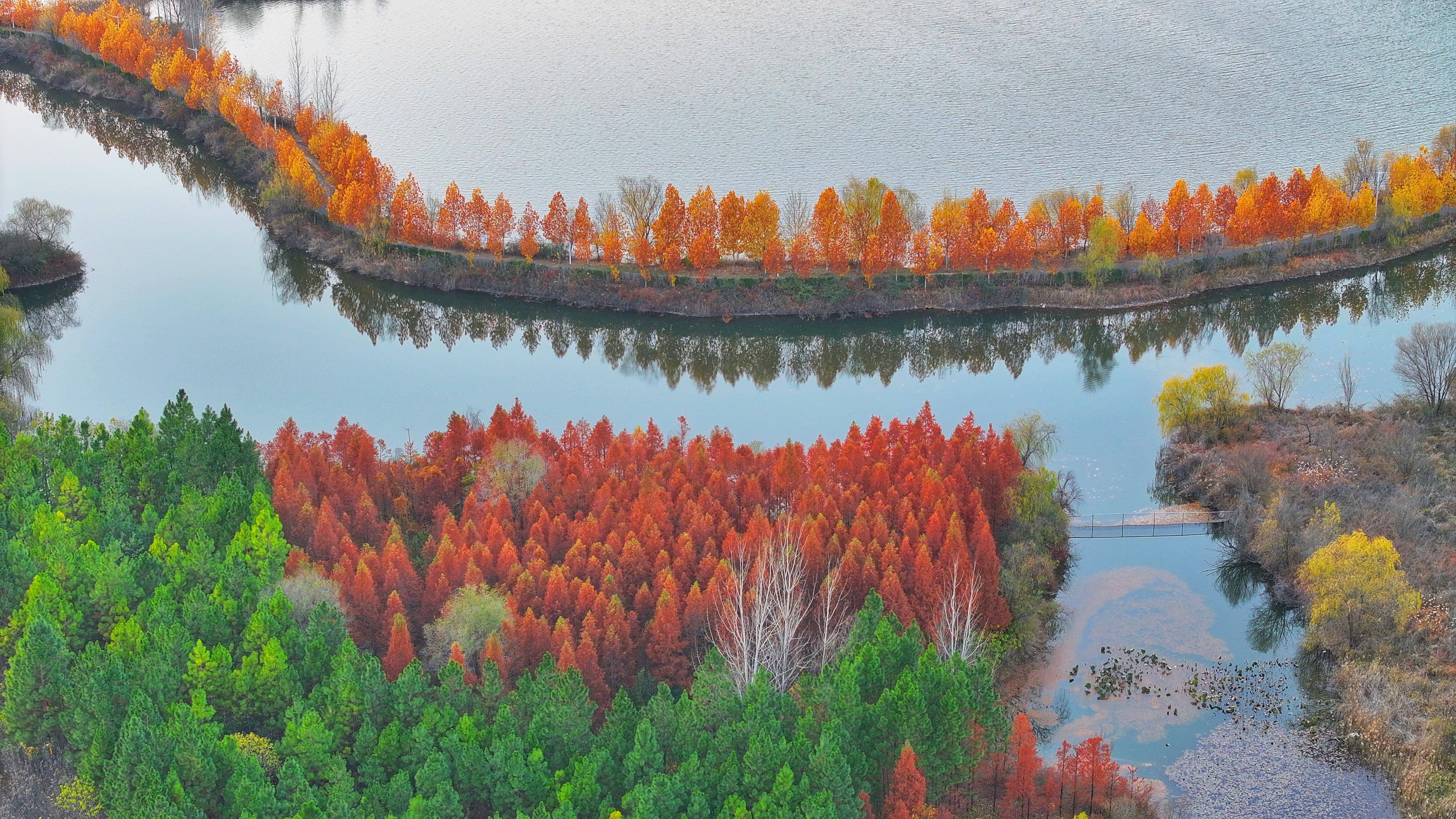 图说洛阳丨黄河湿地 风光旖旎