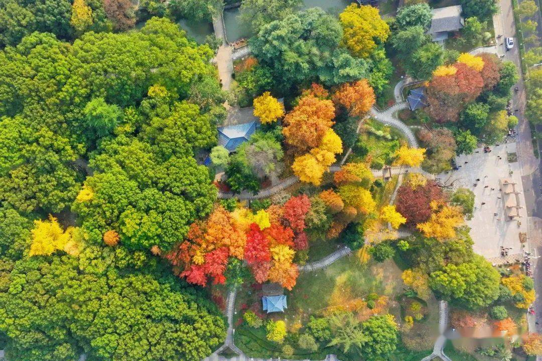 【每日随拍】沙洲公园风景如画