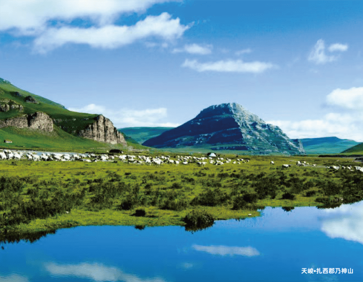 宁波这场活动"送点子上门"_天峻县_合作_建议