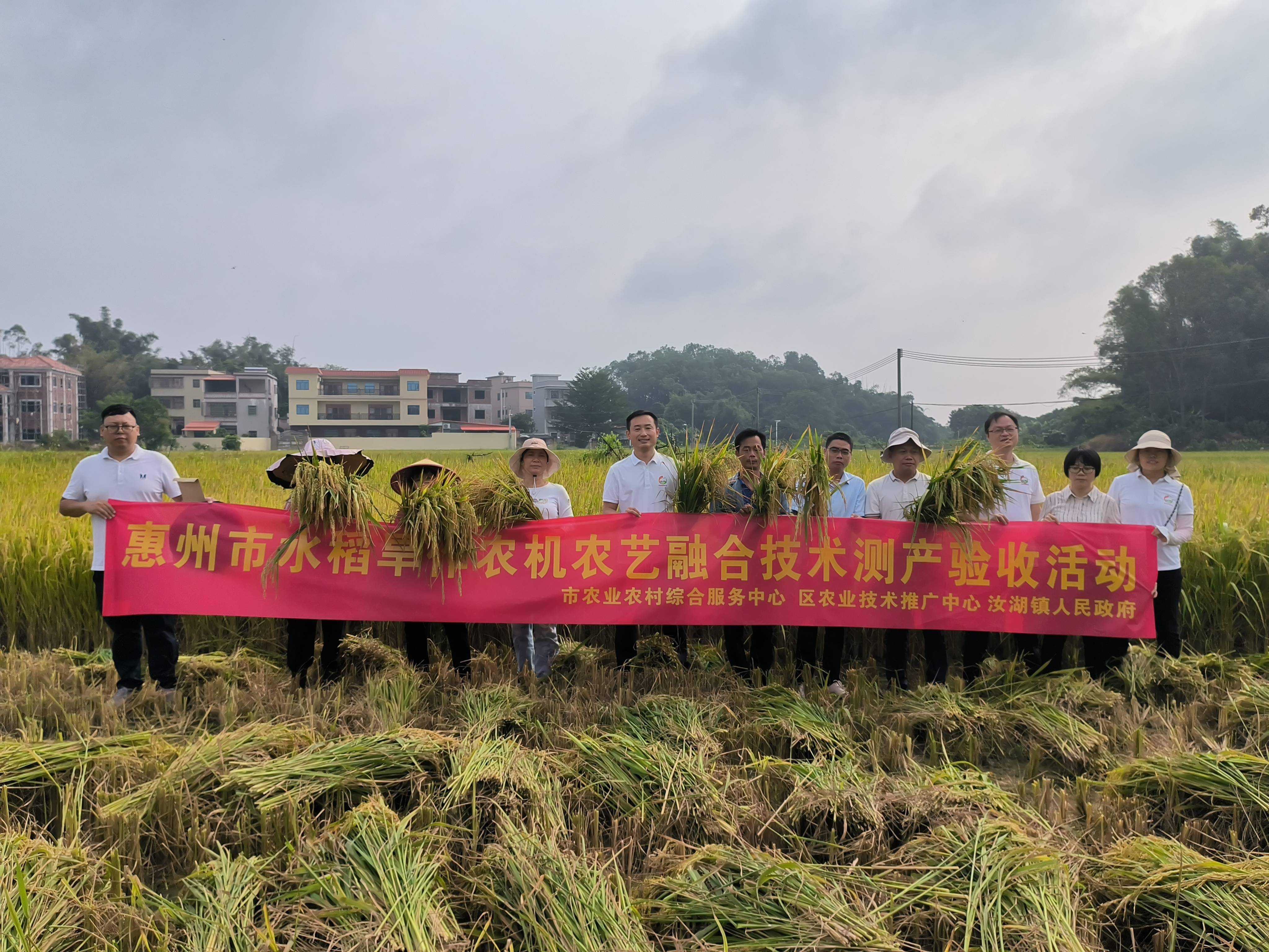 无人机飞播水稻不需育秧和移栽,直接将种子精量播撒于田间,每小时可以