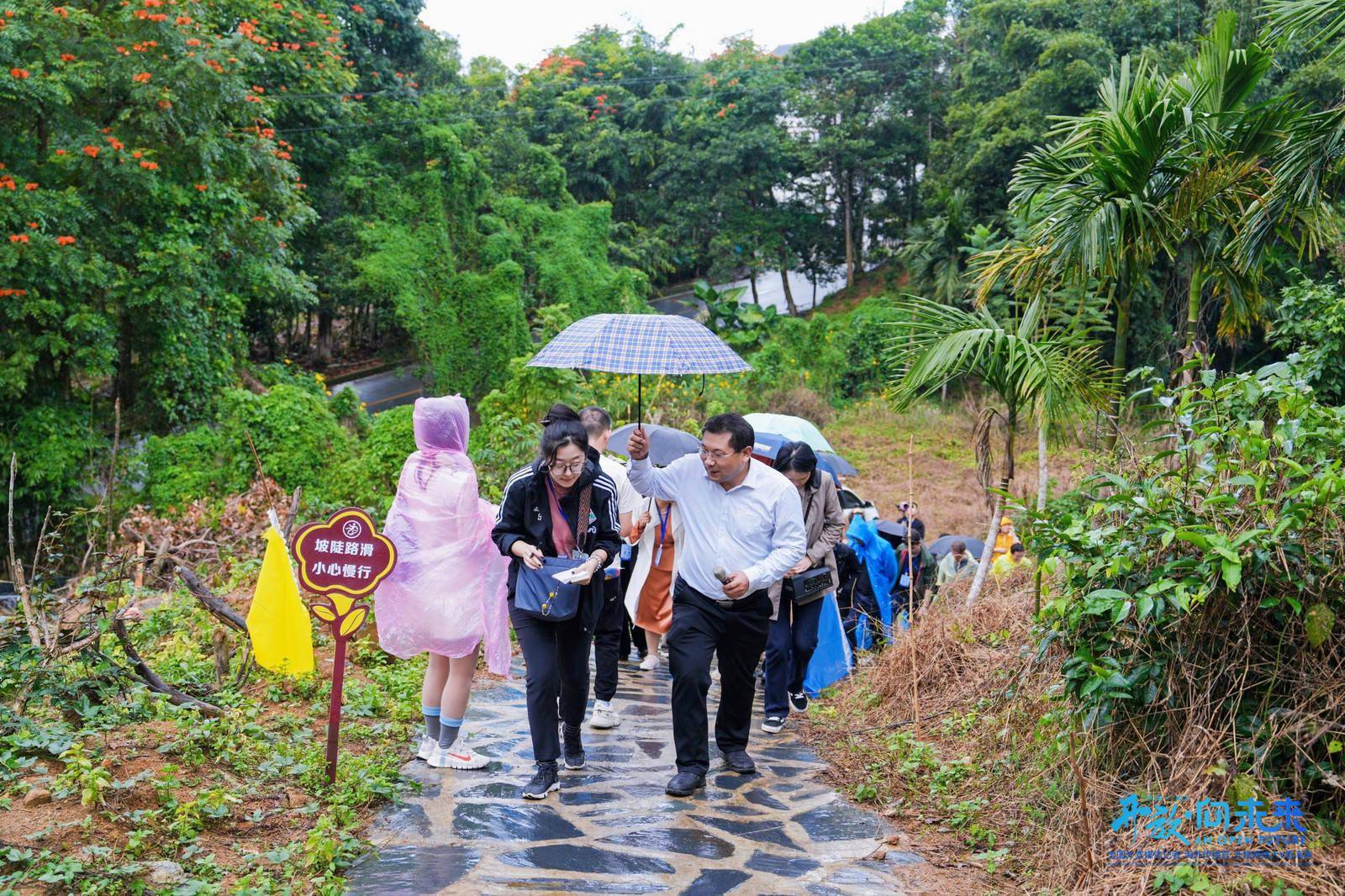 开放·向未来丨采访团走进五指山毛纳村,探访黎族村落魅力_茶园_传播