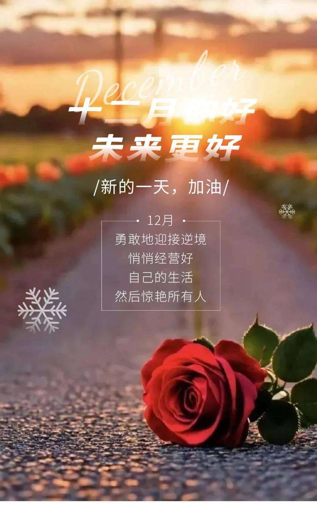 12月最新正能量图片文案短句_时光_生活_未来的