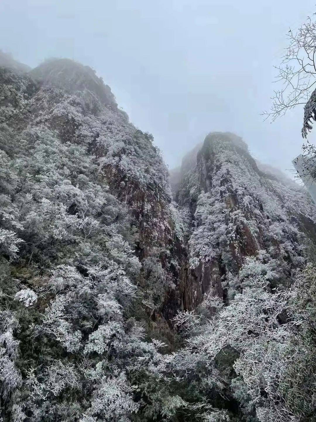 五指山下雪图片