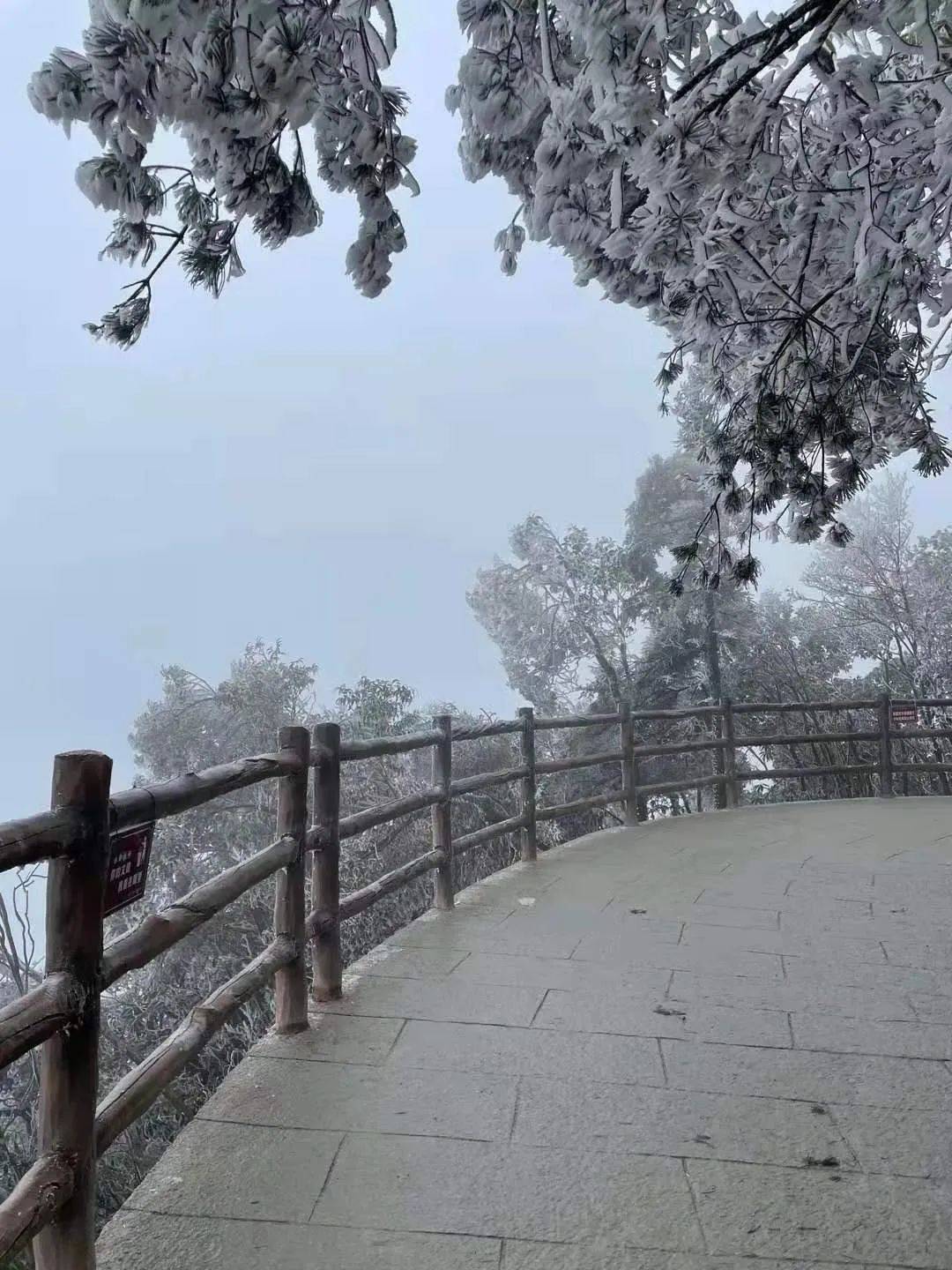 莽山五指峰雪景图片