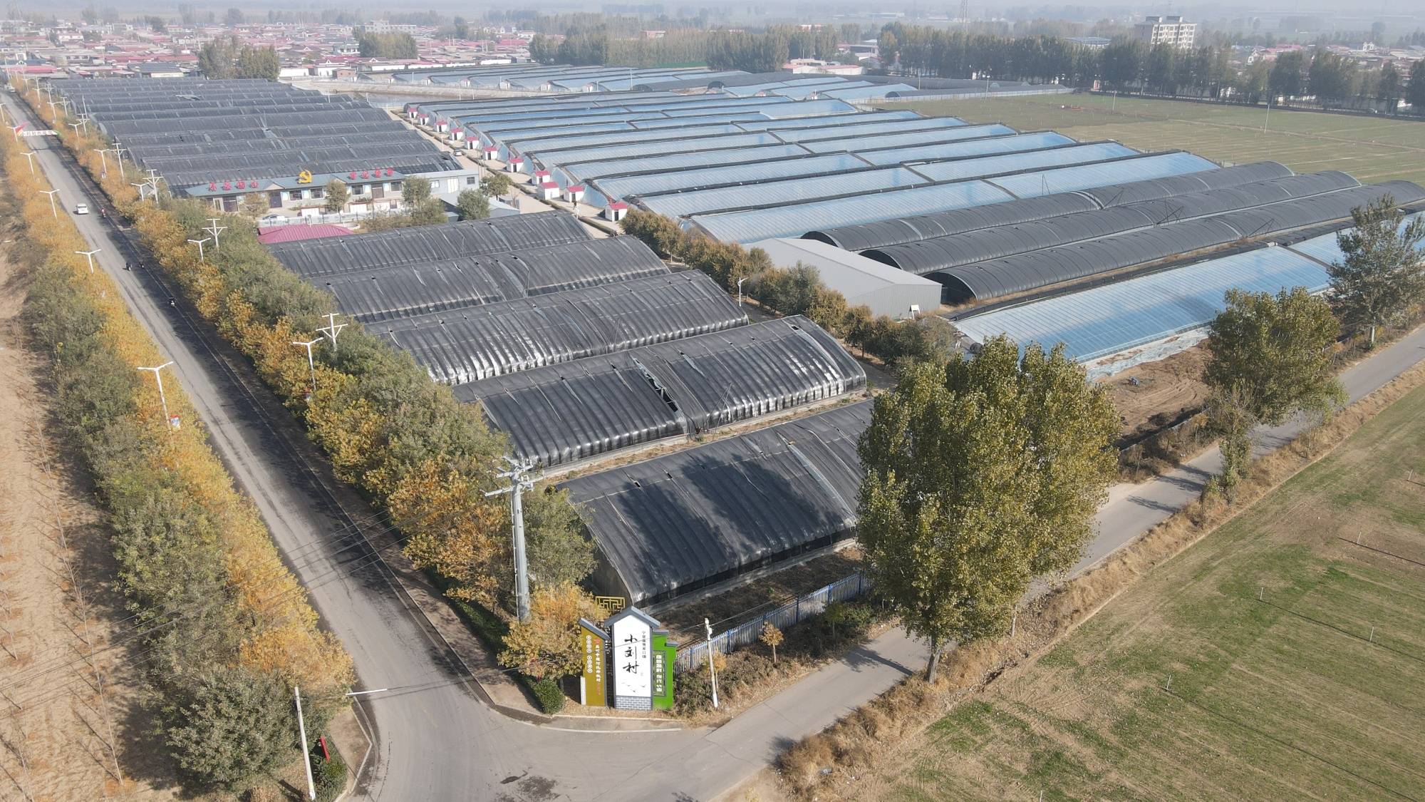 小刘村头茬草莓迎来收获(孙亚伟 摄)近日,河北省邢台市宁晋县贾家口镇