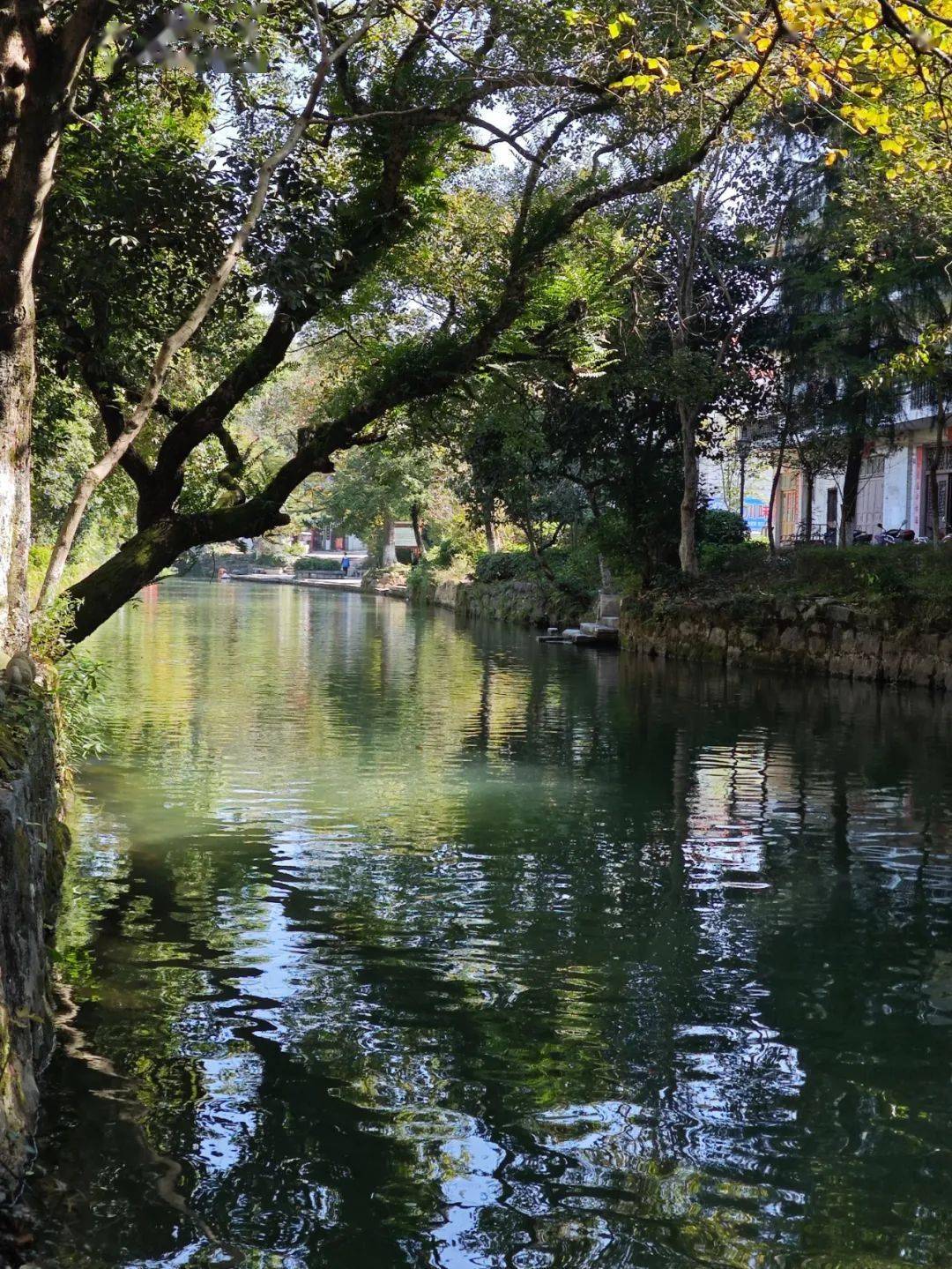 快来捕捉兴安五颜六色的冬天!_猫儿山_灵渠_合作