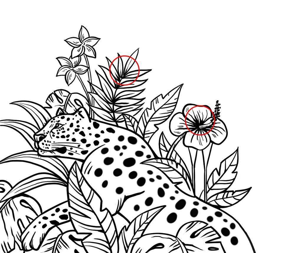 装饰_画面_线条