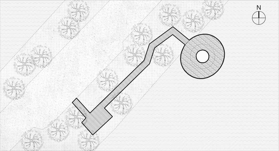 湿地介绍 | 探寻南沙湿地的观鸟艺术竹构_景区_结构_游客