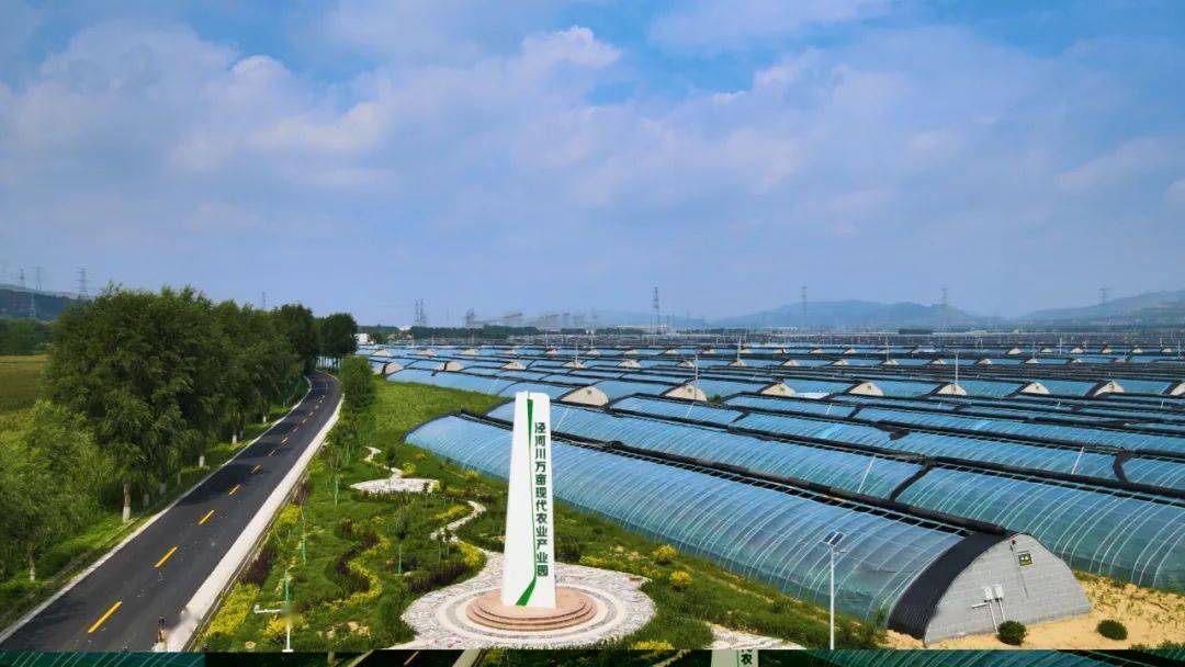 富民产业托起振兴梦——平凉市崆峒区白水镇推进乡村振兴工作走笔