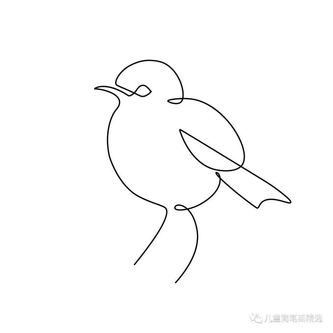 【书写准备】创意绘画-一笔速成绘画(考考你,这些小动物是怎么一笔画