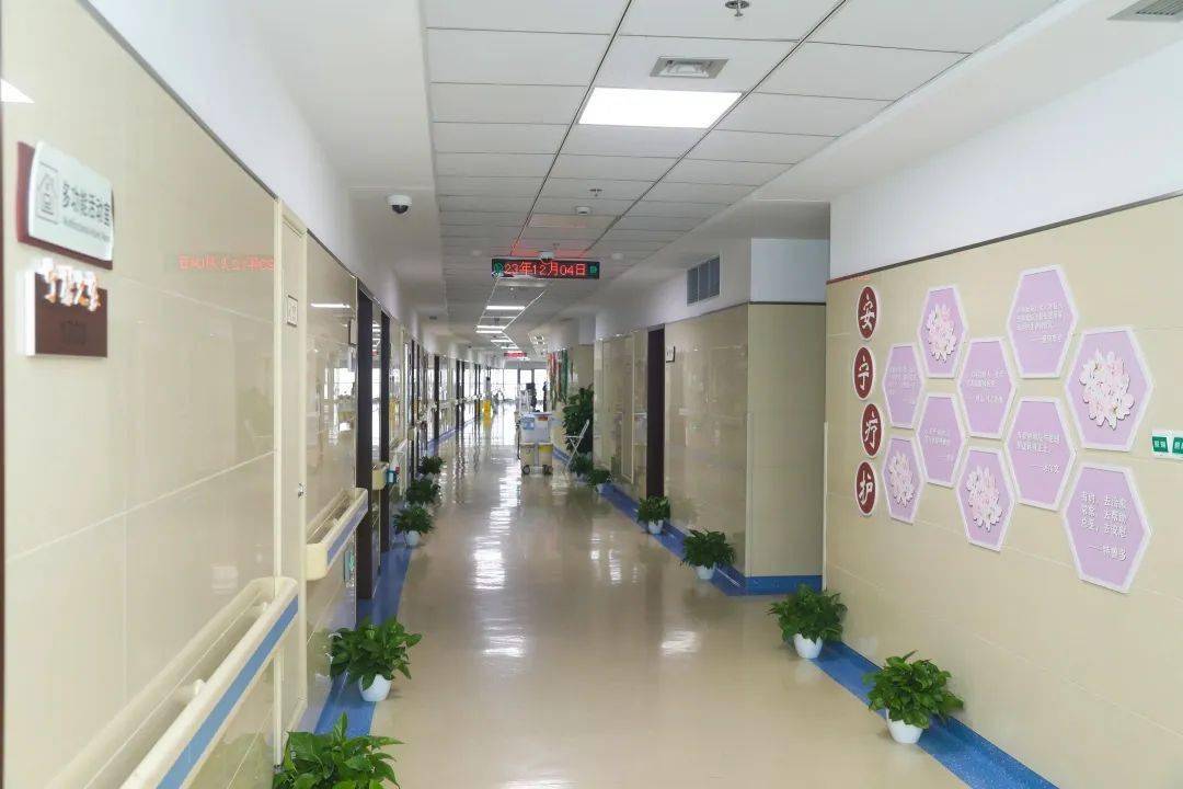 临平区中医院被认定为标准化安宁疗护病区_患者_服务_家属