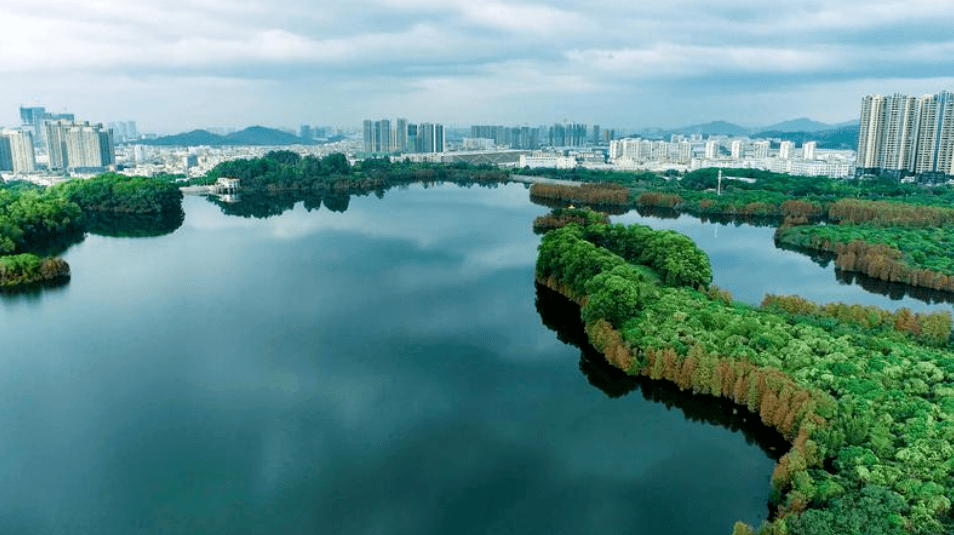 深圳市风景园林协会(深圳市风景园林协会电话)