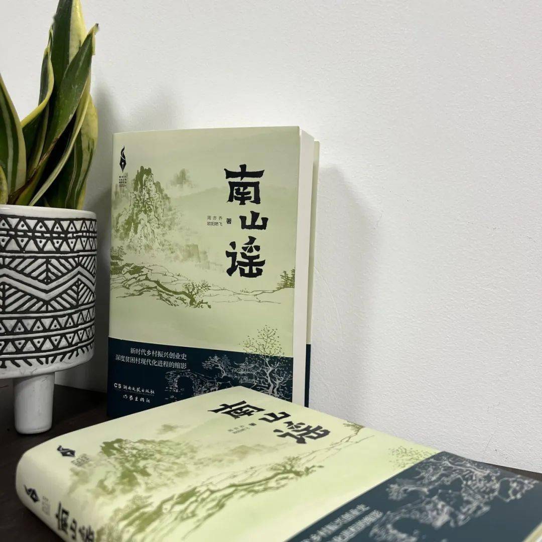 新書書評|《南山謠》:一部浩氣迴腸的鄉村振興變奏曲_村民_產業_問題