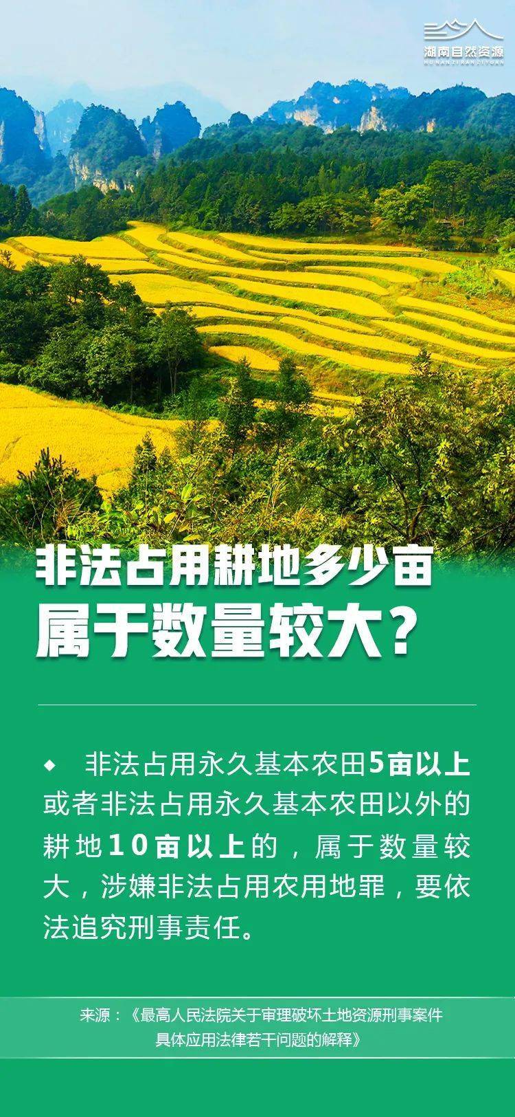 林木和林地权属登记管理办法，林木和林地权属登记管理办法全文