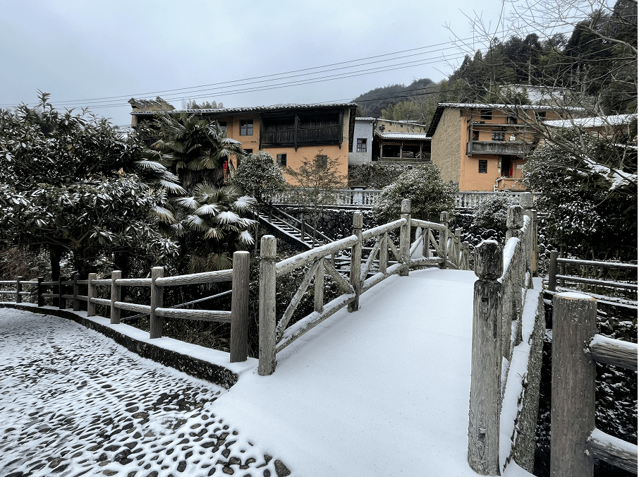 龙泉市天气预报
