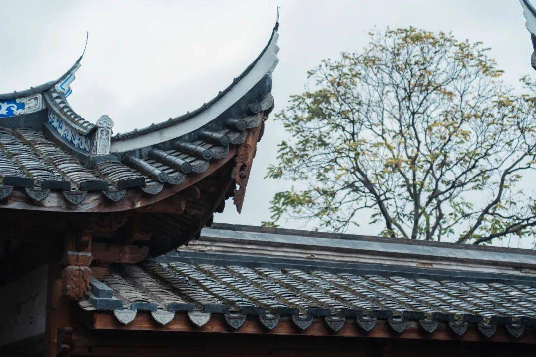 古建筑_滴水_瓦当