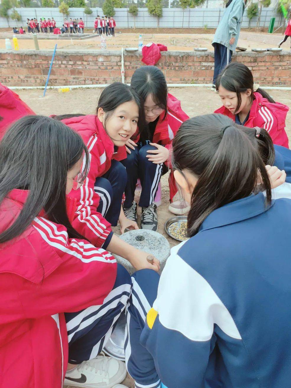 【小镇研学·2023】记龙村中学,塘湖学校洞口学校,登畲学校八年级研学