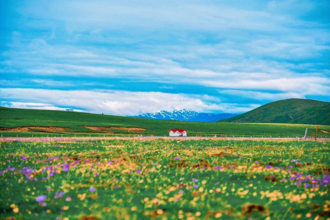 "少不入川,老不出蜀".四川,一个来了就不想走的地方_雪峰_云海_大自然