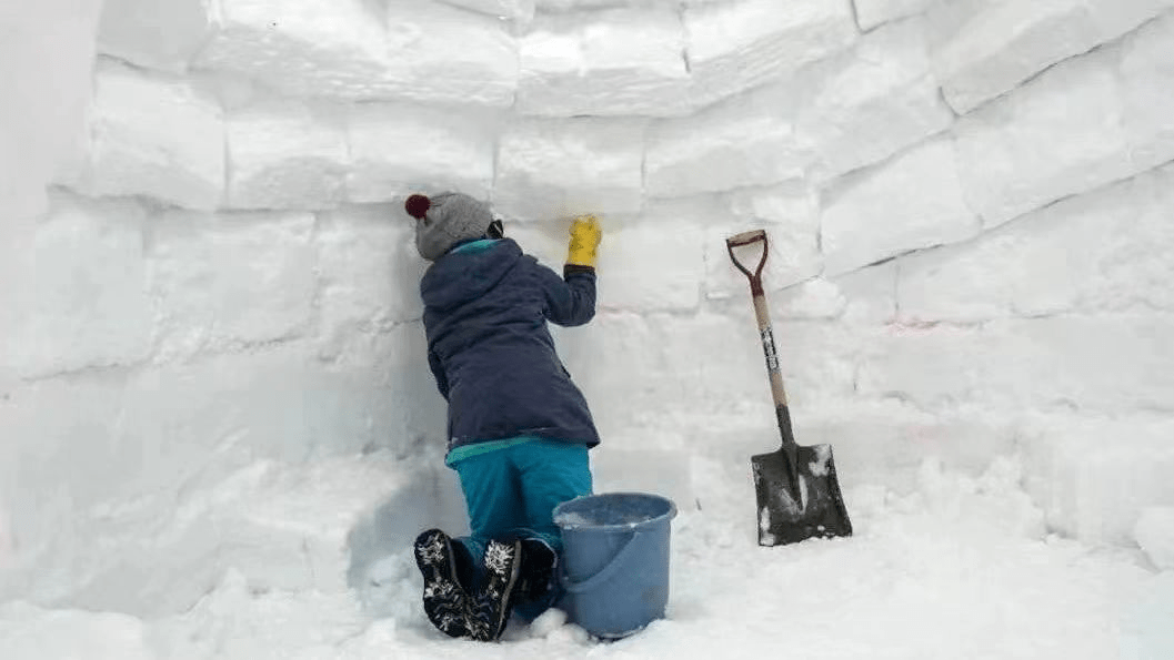 童梦奇缘丨雪原守护者 | 一次专属于孩子的冰雪童话之旅,沉浸式体验