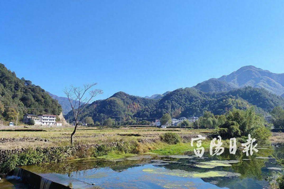 还打算引进阿里巴巴新项目_新三村_村里_整治