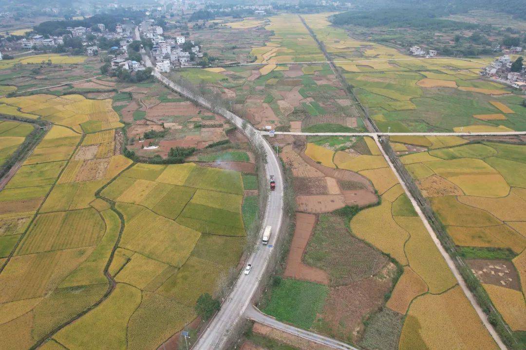 晒"路"啦 | 桂阳县:一条"连心路" 圆了"振兴梦"_公路_农村_湖南
