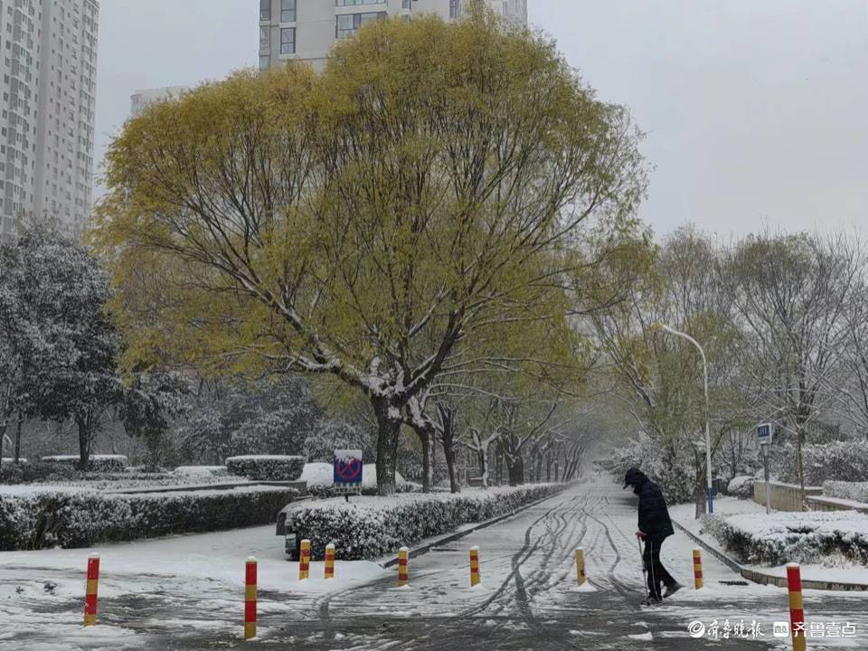 济南下雪啦，整个城市银装素裹