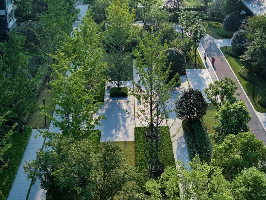 甲方爸爸:组团花园,再提升一下价值卖点!_空间_绿化_活动