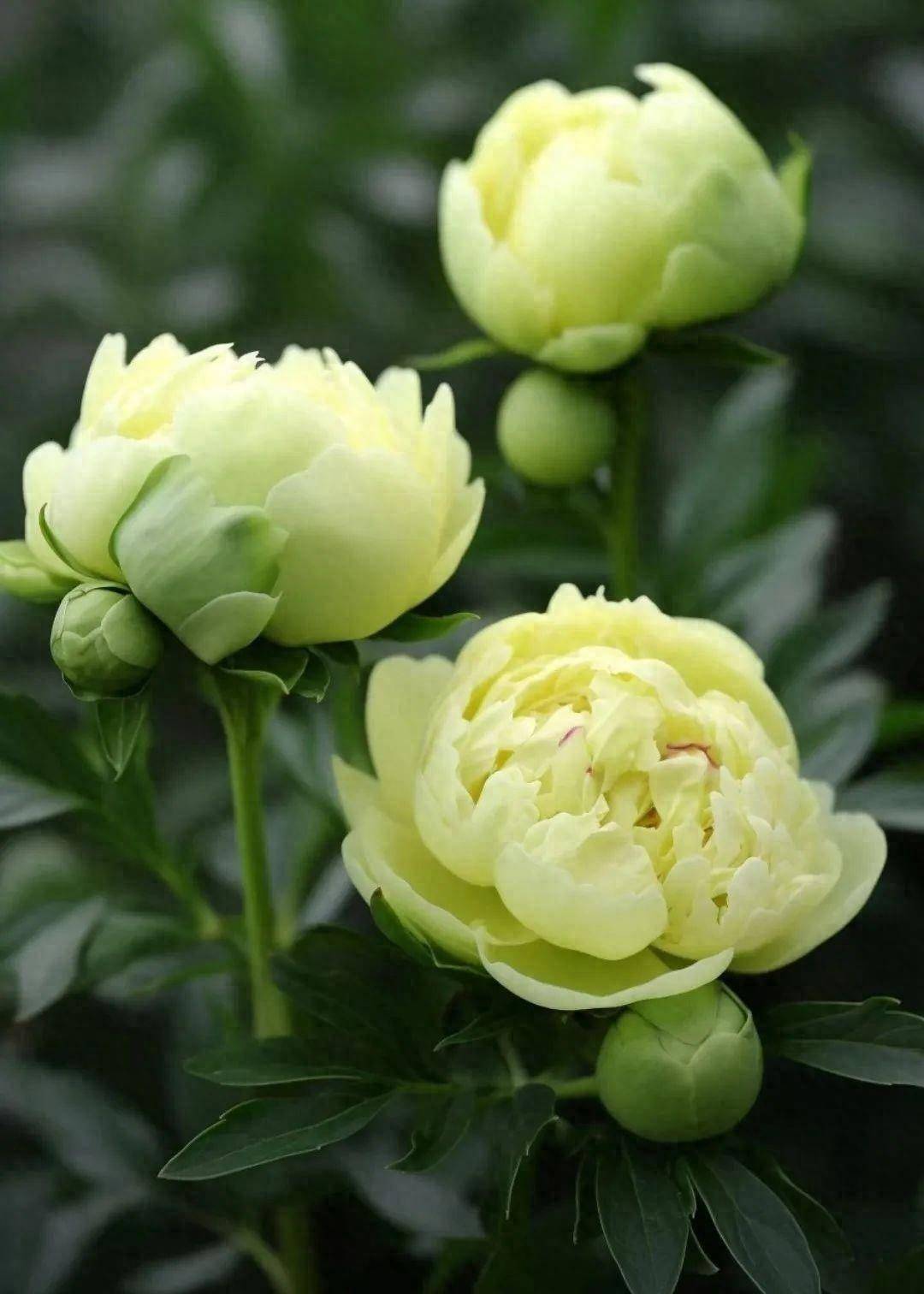 学会释然，才能活得坦然_搜狐网