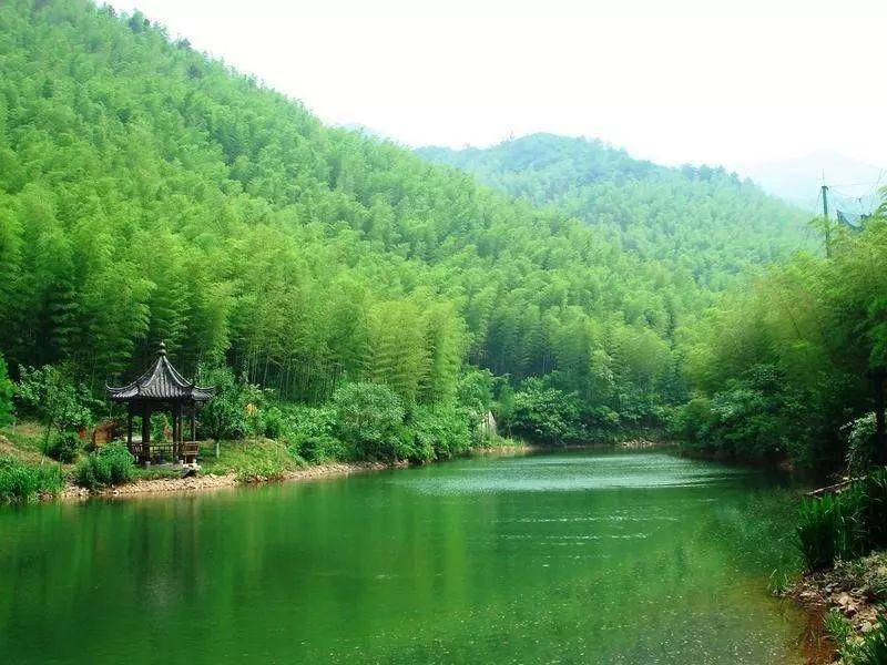 忘忧谷,翡翠长廊,海中海,观海楼,天宝寨,七彩飞瀑,蜀南竹海观光索道