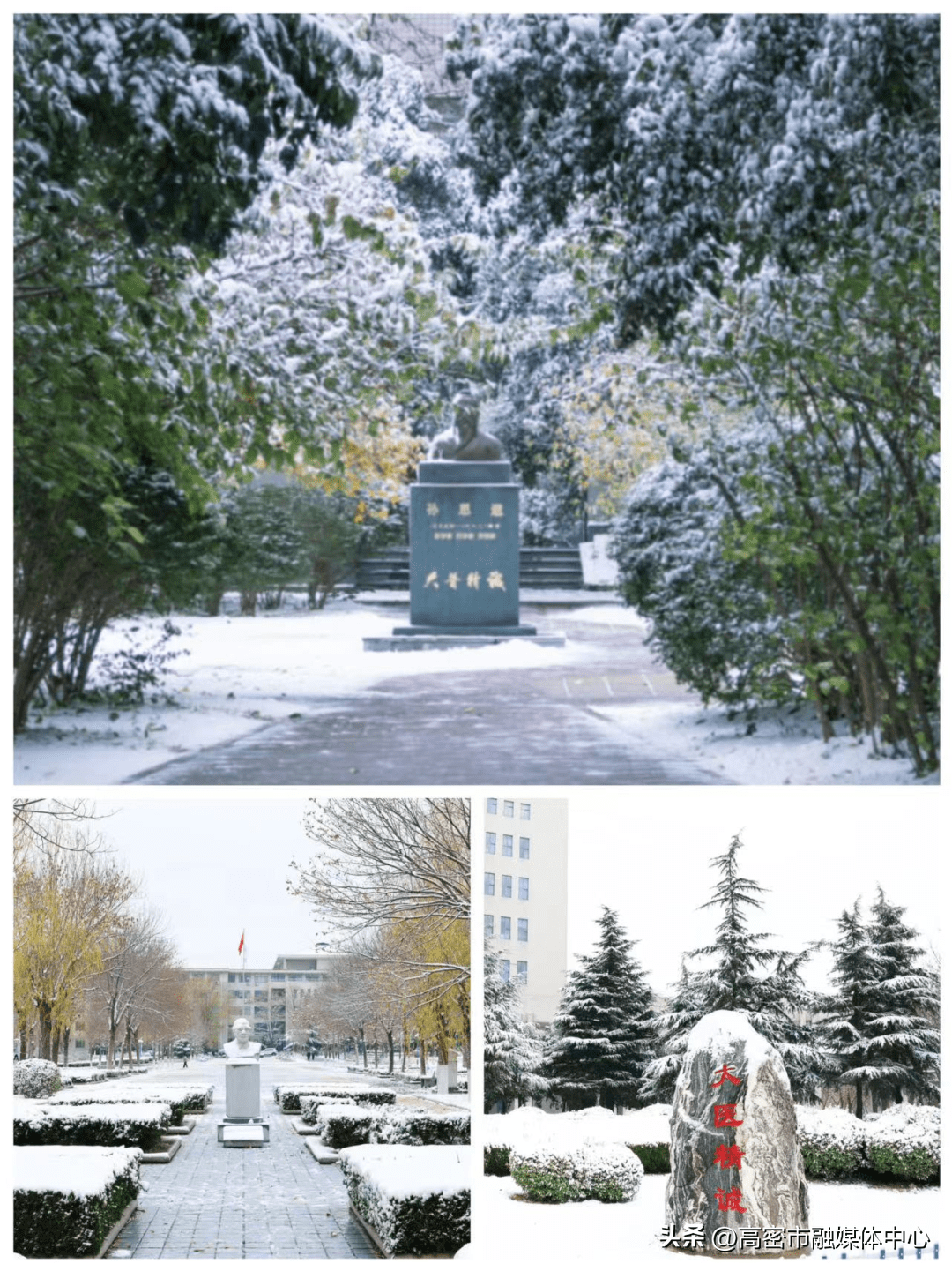 山東高校絕美雪景上新啦!_冬日_雪花_校園