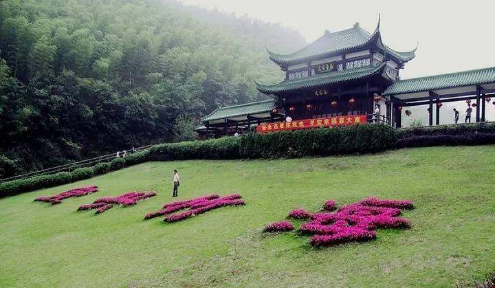 中國最美竹海_蜀南竹海_景區_景點