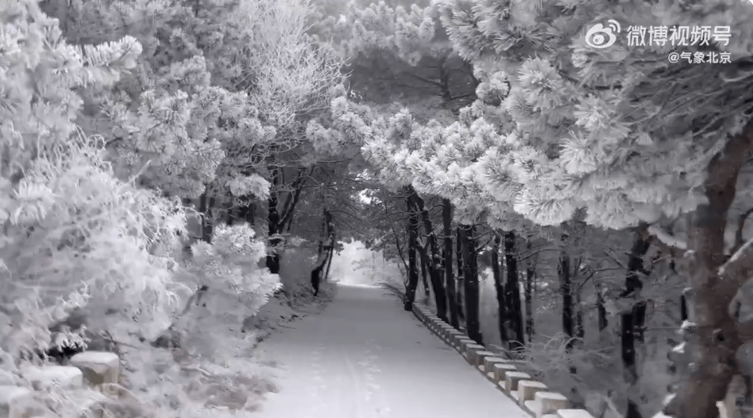 雪多大才算"暴雪"?关键还要看→_积雪_深度_时间