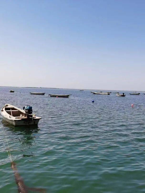 好当家旗下的天海湾海洋牧场,凭借优良的生态环境,先后被认定为"国家